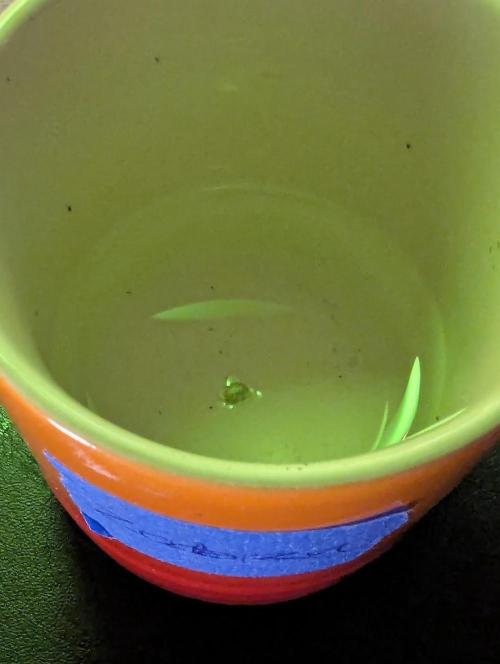 ZodaZa - Umami. Week 0