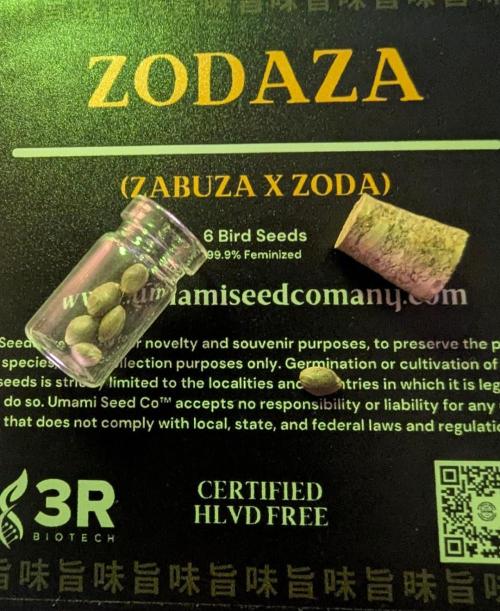 ZodaZa - Umami. Week 0