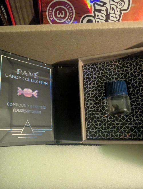 Zhampagne - Compound Genetics. Week 0