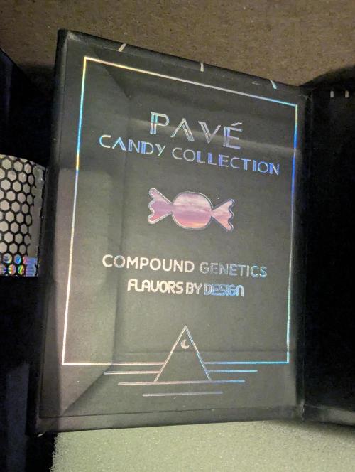 Zhampagne - Compound Genetics. Week 0