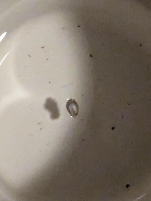 Monaco - Nine Weeks Harvest. Week 0