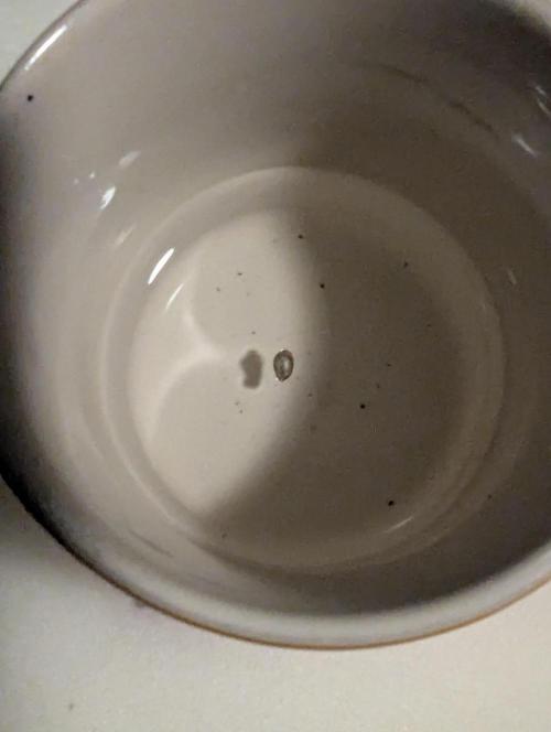 Monaco - Nine Weeks Harvest. Week 0