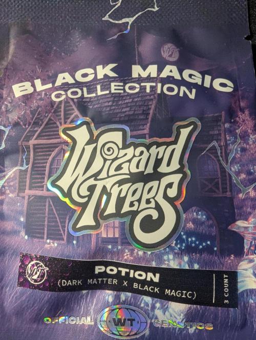 Potion - Wizard Trees. Week 0