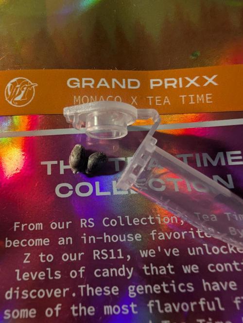 Grand Prixx - Wizard Trees. Week 0