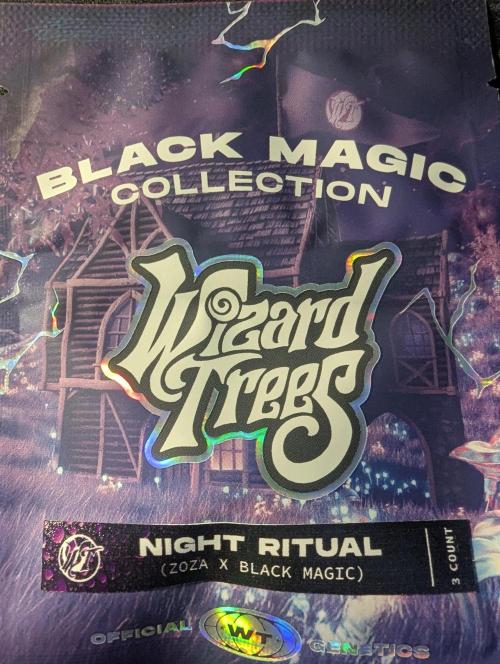 Night Ritual - Wizard Trees. Week 0