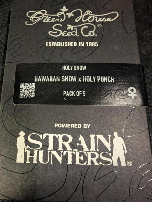 Holy Snow - Greenhouse Seed Co.. Week 0