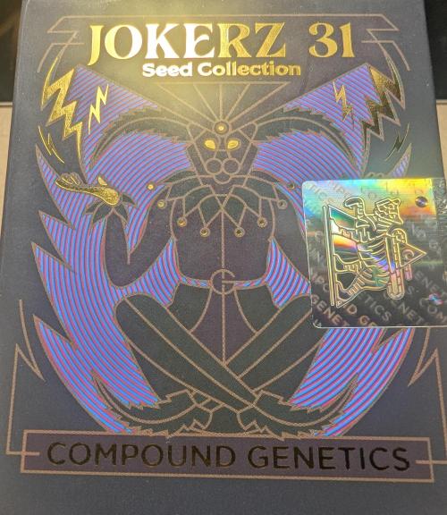 Glue 31 - Compound Genetics. Week 0