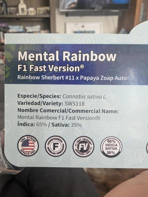 Mental Rainbow FF - Sweet Seeds. Week 0