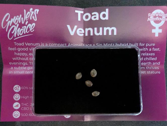 Toad Venum Auto - Growers Choice. Week 0