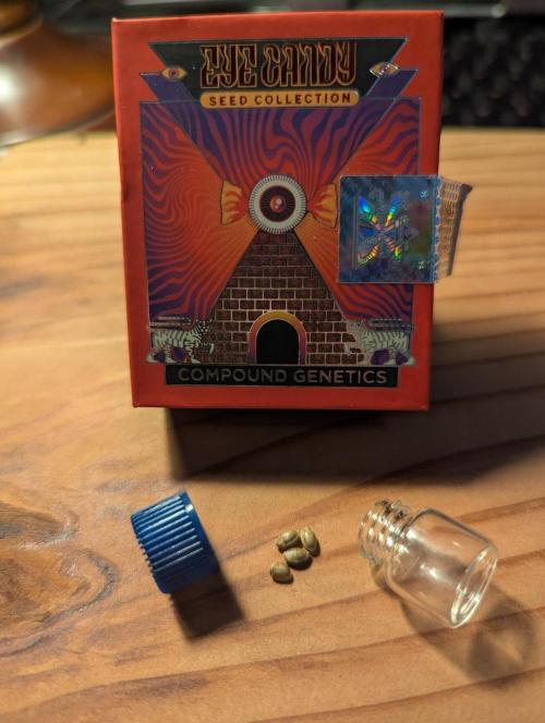 New Money - Compound Genetics. Week 0