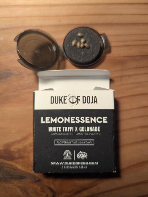 Lemonessence - Doja. Week 0