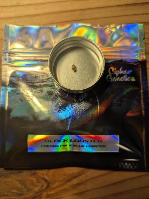 Black Lobster - Cipher Genetics. Week 0