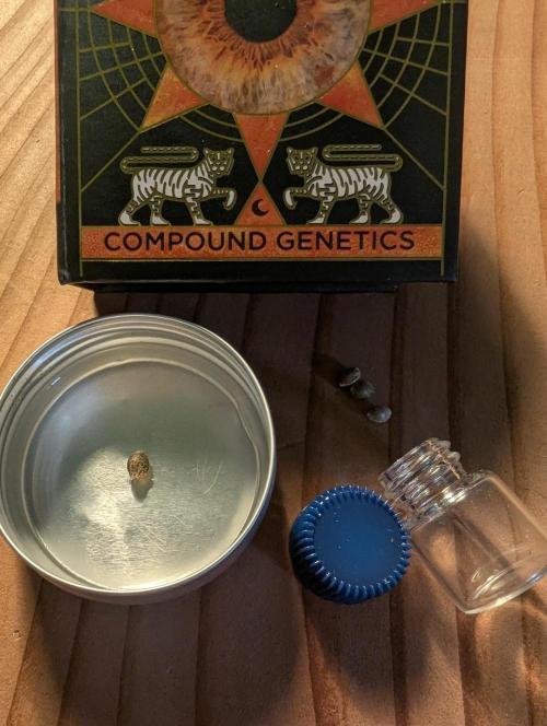 Shake Back - Compound Genetics. Week 0