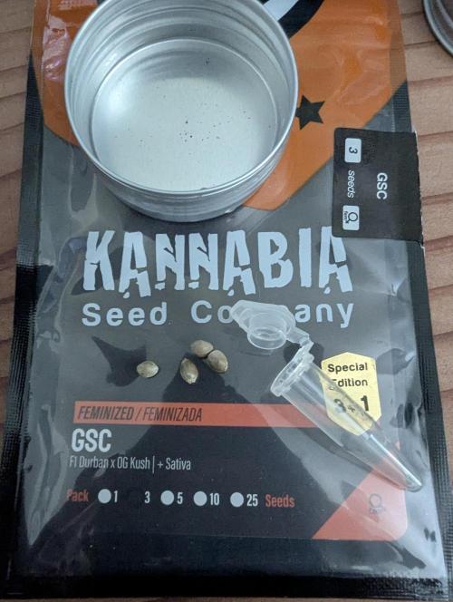 GSC Kannabia. Week 0