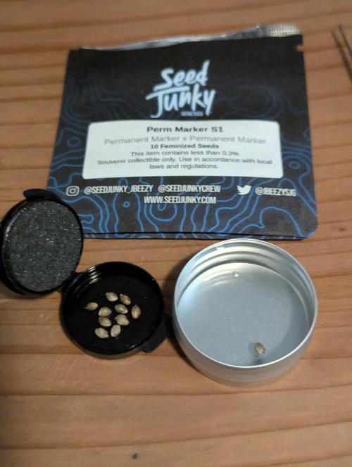 Permanent Marker - Seed Junky. Week 0