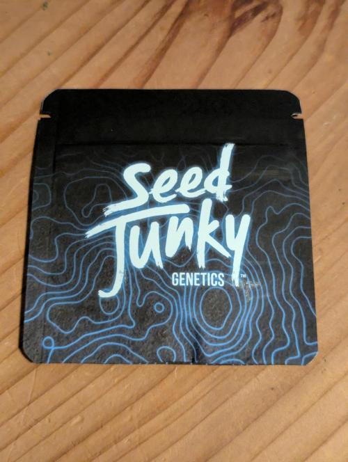 Wild Burst - Seed Junky. Week 0