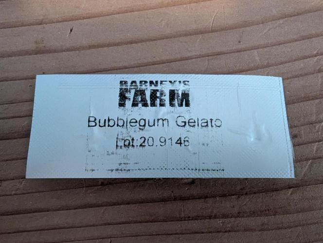 Bubblegum Gelato - Barney's Farm. Week 0