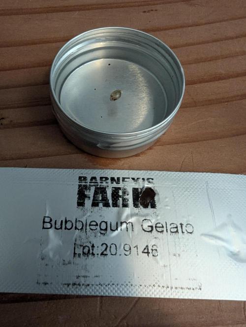 Bubblegum Gelato - Barney's Farm. Week 0