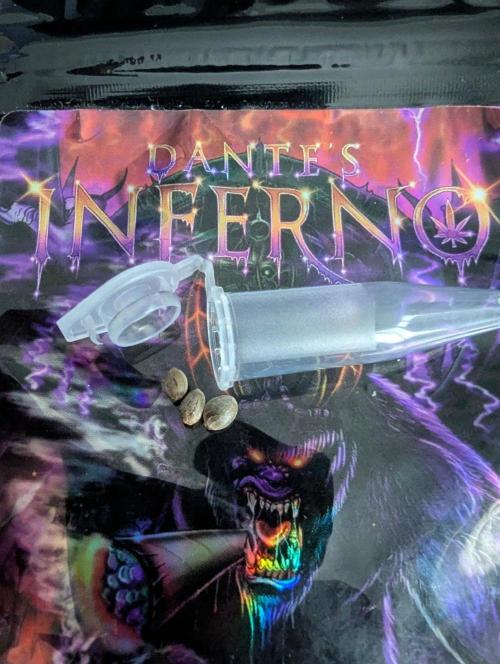 Dantes Inferno - Mile High Dave. Week 0