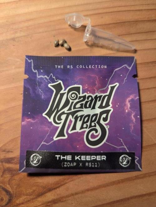 The Keeper - Wizard Trees. Week 0