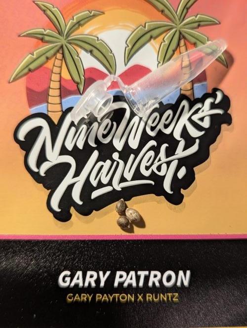 Gary Patron - Nine Weeks Harvest. Week 0