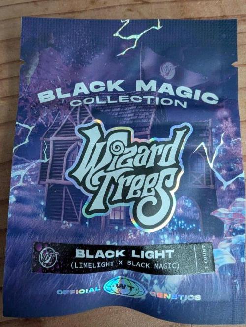 Blacklight - Wizard Trees. Week 0