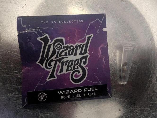 Wizard Fuel - Wizard Trees. Week 0