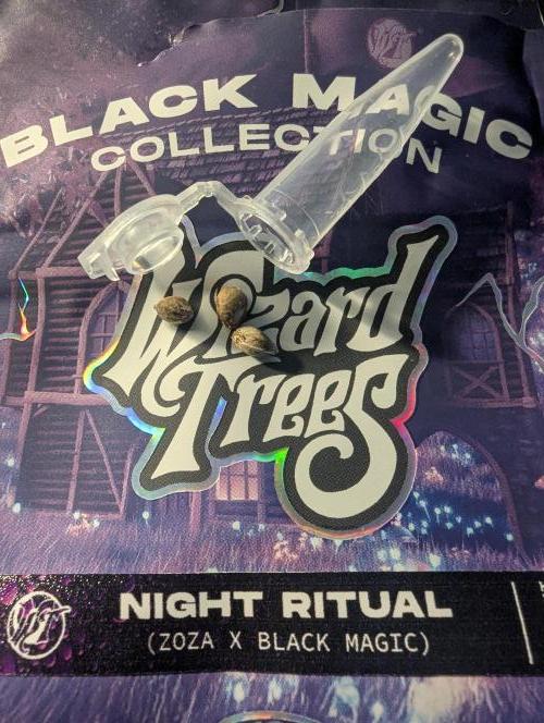 Night Ritual - Wizard Trees. Week 0