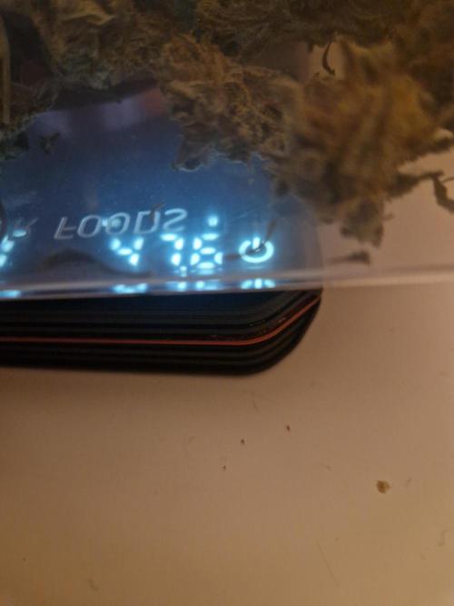 Painkiller XL. Week 13