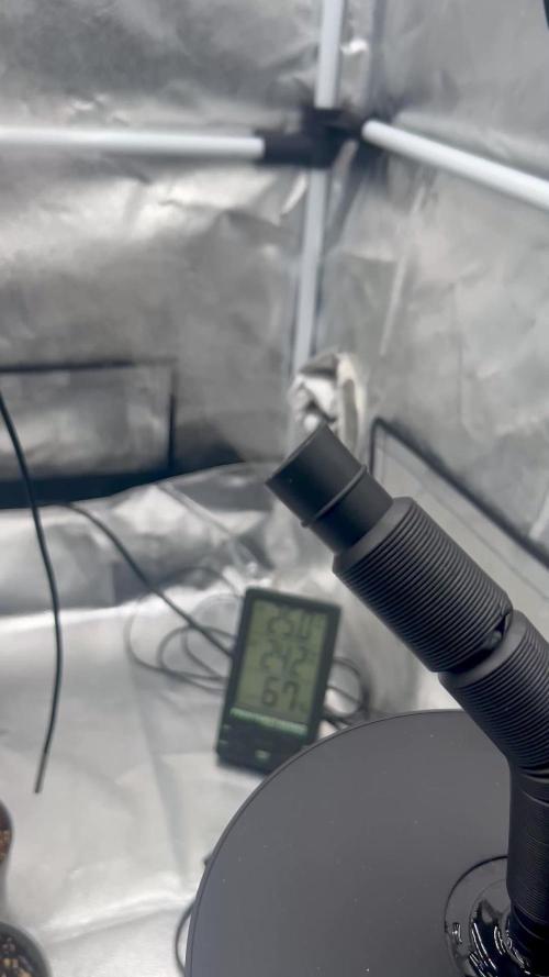 Flavor & Power: A Controlled Grow