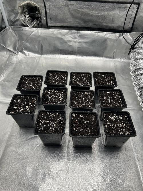 Learning with RIDGELION. Week 0