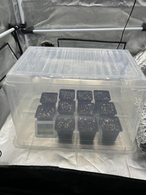 Learning with RIDGELION. Week 0