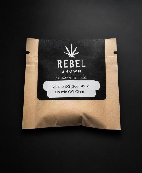 Rebel Grown in My Town. Week 0
