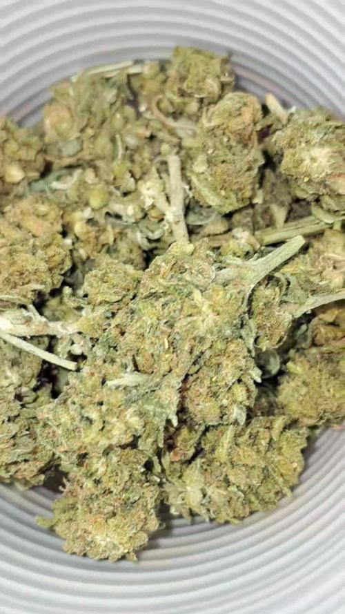 Lemon ak 2023