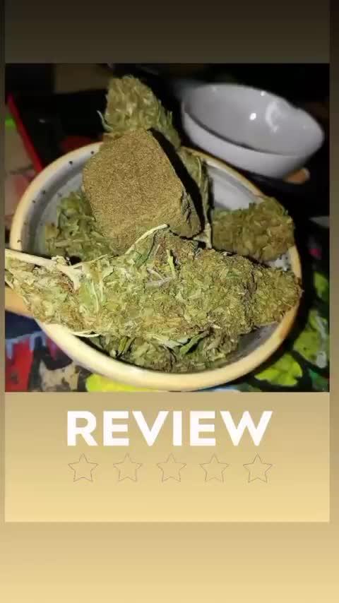 Plants outdoor 2023