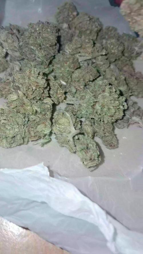 mountain weed 2026