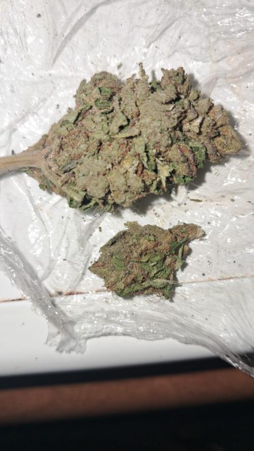 mountain weed 2026. Week 11