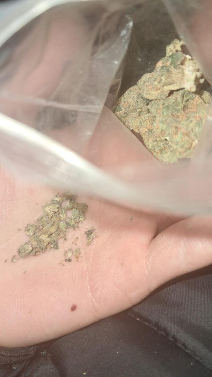 2026 best plants. Week 15