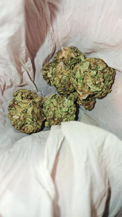 2026 best plants. Week 10