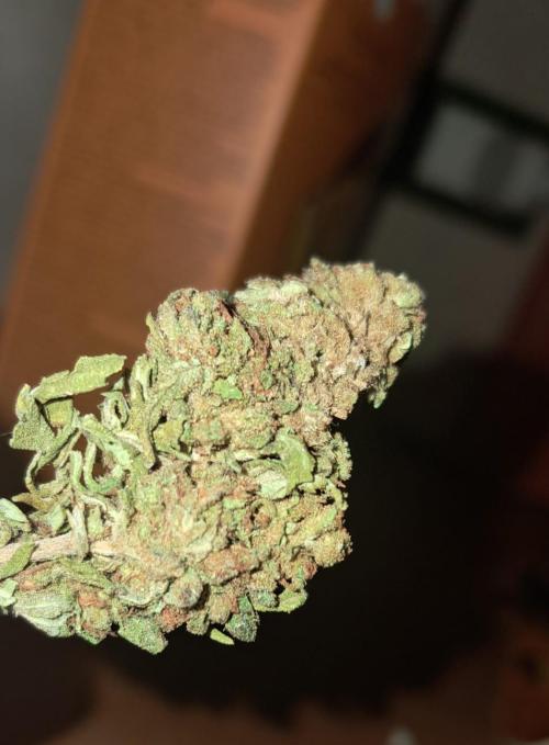 mountain weed 2026. Week 15