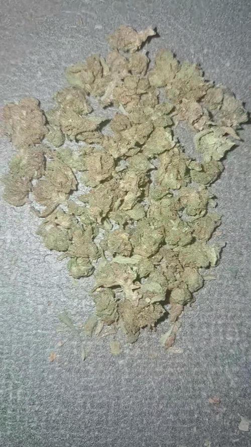 mountain weed 2026 (Outdoor)