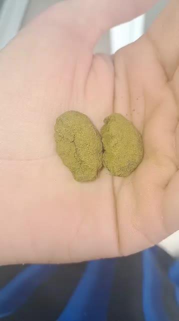 Best resin extract, kief 2025-2026