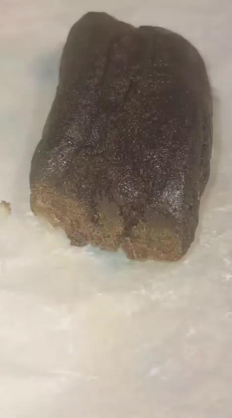 Gmp certified 2026