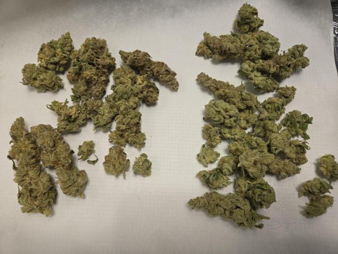 Shiskaberry Cookies. Week 15