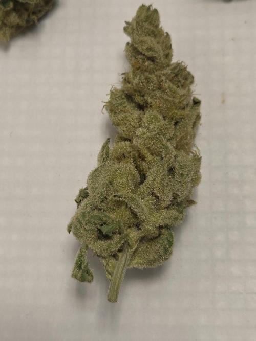 Shiskaberry Cookies. Week 15