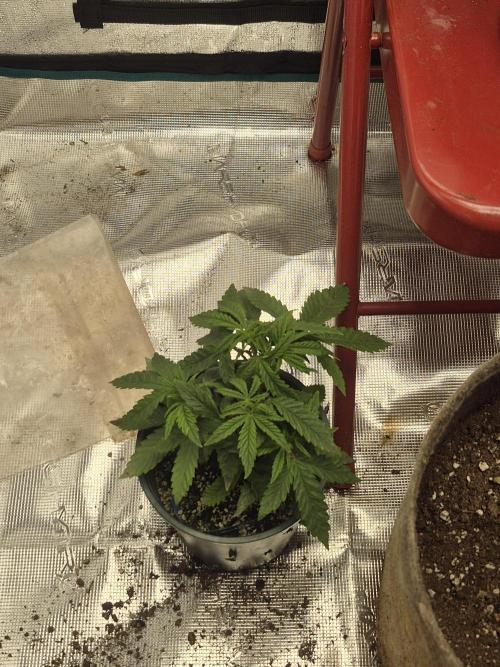 Meanwhile in the moment room. Week 3