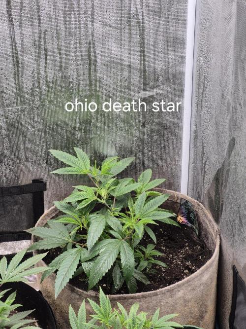 Meanwhile in the moment room. Week 4