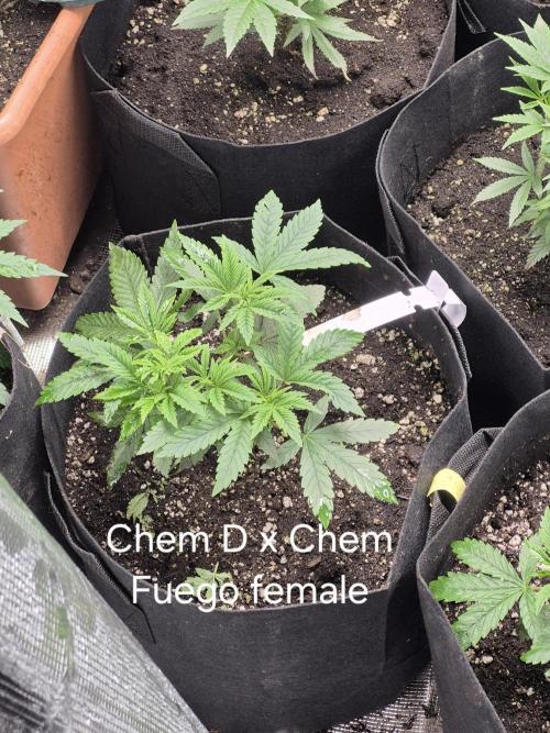 Meanwhile in the moment room. Week 4