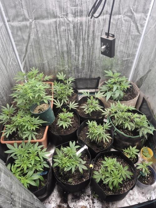 Meanwhile in the moment room. Week 4