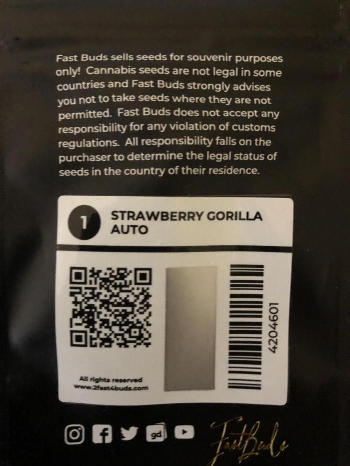 Strawberry Gorilla Auto. Week 0